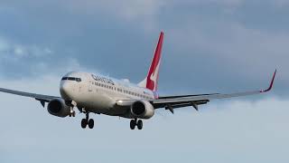 Qantas Boeing 737 Landing Canberra Airport  Planespotting [upl. by Radbun492]