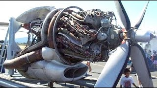 Old RADIAL ENGINES Cold Starting Up and Loud Sound 5 [upl. by Kcirdlek]