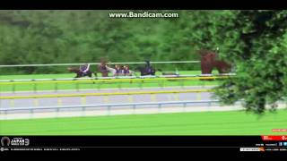 Japan World Cup 3 JRA ハリボテエレジー勝利 [upl. by Alliuqaj]