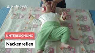 Asymmetrischer tonischer Nackenreflex  Pädiatrie  Frühkindliche Reflexe  AMBOSS Video [upl. by Priebe440]