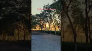 The beautiful sylhet  most visited places in Bangladesh nature travel bangladesh shirtsvideo [upl. by Eniad]