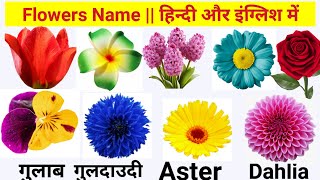 Flowers Name in English amp Hindi with Picture फूलों के नाम इंग्लिश हिन्दी में phoolon ke naam pdf [upl. by Dann802]