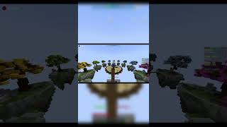 Skywars but we cant use chests [upl. by Margarethe]