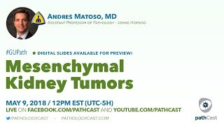 Mesenchymal kidney tumors  Dr Matoso Hopkins GUPATH [upl. by Raimes211]