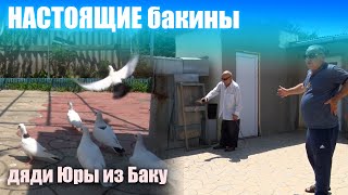 Настоящие бакинцы у бакинского дяди Юры [upl. by Zephan]