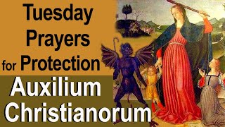 Tuesdays Auxilium Christianorum Prayers for Protection From the Enemy for Use by the Laity [upl. by Adair]