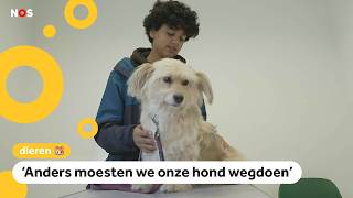 Dierenartsen worden steeds duurder [upl. by Ysus]