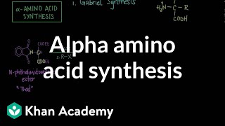 Alpha amino acid synthesis  Chemical processes  MCAT  Khan Academy [upl. by Felder651]