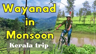 Bangalore to Wayanad Road Trip Places to Visit Wayanad in mansoon Adventure and sports Activities [upl. by Lacagnia33]