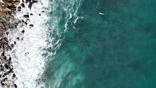 Surfing in Lover’s Point Monterey California surfing surf monterrey dronevideo dji [upl. by Ellivnarg]