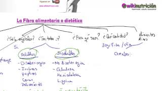 La fibra alimentaria o dietética  wikinutrición [upl. by Kelleher688]