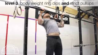 Muscle Ups Progression  Barbell Shrugged Progression Series [upl. by Marfe400]