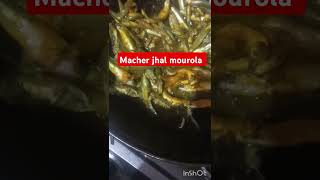 Mourola macher jhal new trending recipe Bangali bangli recipe [upl. by Attirb]