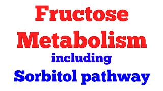 Fructose metabolism  Sorbitol pathway  Biochemistry [upl. by Korrie]