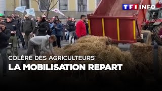 Colère des agriculteurs  la mobilisation repart [upl. by Anigger600]