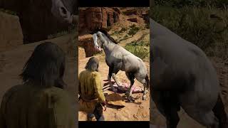 Horse gone Mad in Red Dead Redemption 2 rdr2 mods [upl. by Niamart]