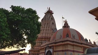 Shri Siddhnath Mahadev Tal Olpad Dist Surat Live Darshan [upl. by Nieberg762]