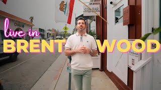 Walking Brentwood Real Estate Tour [upl. by Garretson]