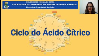 Bioquímica  Aula 8  Ciclo do Ácido Cítrico [upl. by Aennyl]