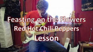 Feasting on The Flowers RHCP Guitar Lesson with Tabs [upl. by Anola33]