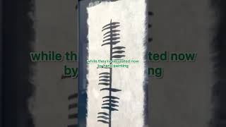 How we recreated Ogham Ireland’s Ancient Written Language to this Ogham Bless This House gift [upl. by Pryce]