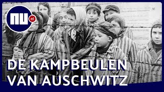 Auschwitz 75 jaar bevrijd Wie waren de kampbeulen  NUnl [upl. by Osugi625]