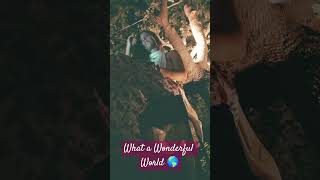 What a Wonderful World 🌎 whatawonderfulworld louisarmstrong popmusic popularmusic [upl. by Johanan]