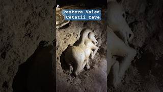 Exploring Romanian Cave Pestera Valea Cetatii Cave Rasnov Romania Cave Short [upl. by Magel]