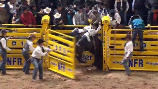 Beutler amp Son Rodeos Nutrenas Black Kat [upl. by Camilo]