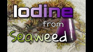 Iodine From Seaweed [upl. by Ayekram983]