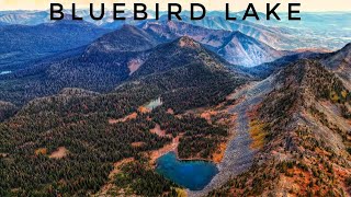 BLUEBIRD LAKE  KOOTENAI NATIONAL FOREST MONTANA [upl. by Press]