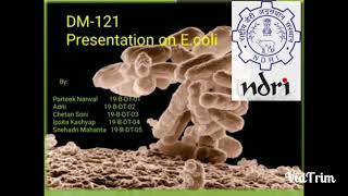 Escherichia coli in Milk and Milk Products [upl. by Sheila]