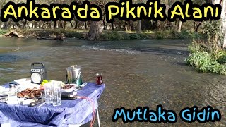 Ankarada Su Kenarı Piknik Alanı  KIZILCAHAMAM  PAZAR KÖYÜ [upl. by Stormie]