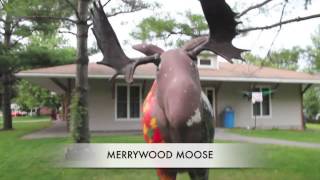 Camp Merrywood Tour [upl. by Molton]