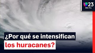 Por qué debe preocuparnos que los huracanes como Milton se intensifiquen tan rápidamente [upl. by Ruenhs637]