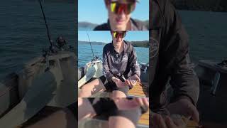 Worlds SMALLEST Jewfish fishing boating fish outdoors hawkesbury [upl. by Adliwa430]