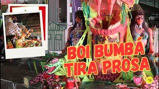 BOI TIRA PROSA  APRESENTAÇÃO OFICIAL  26072024  festivaldosbois2024 [upl. by Benetta]