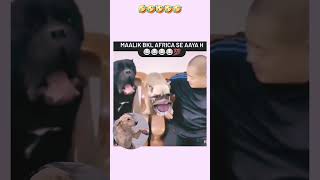 Funny 😁😁😁😁video 🤣🤣 [upl. by Atinob]