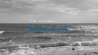 TEBK ansambel  Teisel pool vett [upl. by Snah]