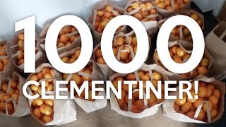 vlogg RÅKAR KÖPA 1000 CLEMENTINER [upl. by Eecak]