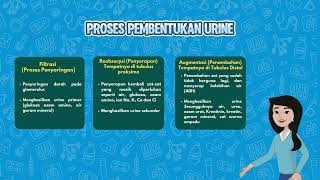 FUNGSI GINJAL SEBAGAI ORGAN EKSKRESI [upl. by Bocoj]