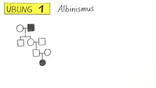 Erstellung und Analyse des Stammbaums  Übung  Biologie  Genetik [upl. by Asial94]