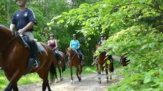 Reiturlaub in MecklenburgVorpommern [upl. by Siravat]