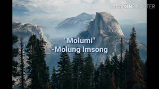 Ao Song  Molumi  Molung Imsong Lyrics Video [upl. by Latsryc]