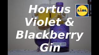 Hortus Violet amp Blackberry Gin [upl. by Arimak]