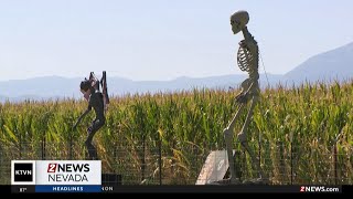 Andelin Family Farm Fall Festival kicks off [upl. by Wattenberg]