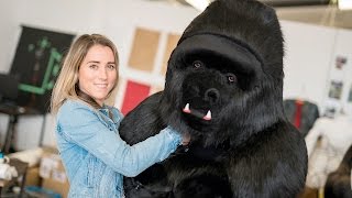 Stephanie Cossens  Unmasked becoming animal  Dunedin School of Art [upl. by Dreda]