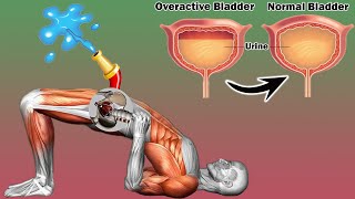 3 SIMPLE Exercises Work for Overactive Bladder  Kegel Exercises [upl. by Betty111]