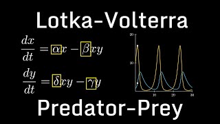 PredatorPrey Model LotkaVolterra [upl. by Ylrad]