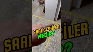 Sarı çizgiler ne işe yarıyor En yaratıcı yorumları bekliyorum 🤗 [upl. by Naashar862]